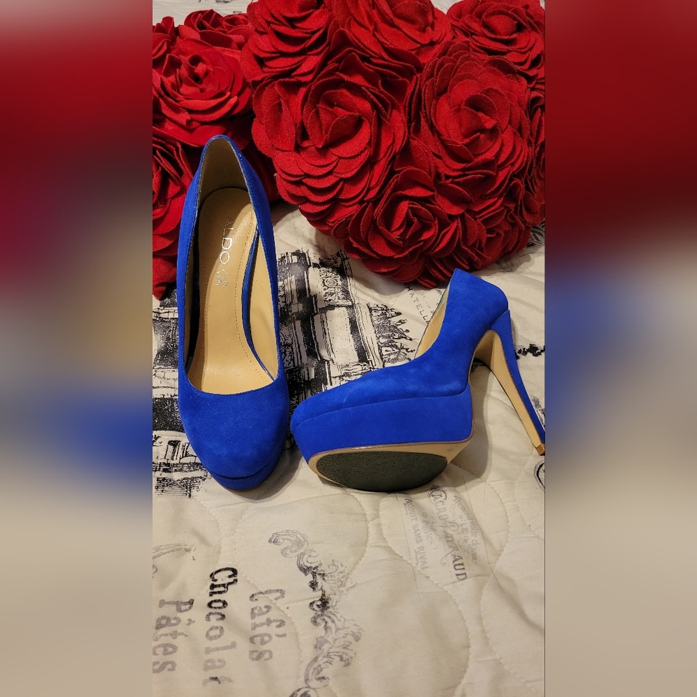 Royal Blue shies